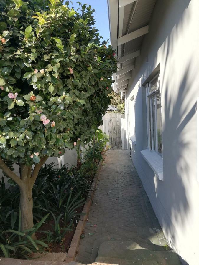 Willow Guest House Boksburg Exteriér fotografie